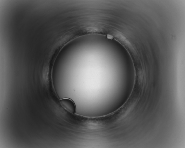 X0000089430490200706151311