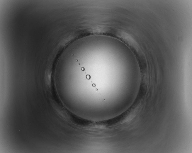 X0000089430491200706151311