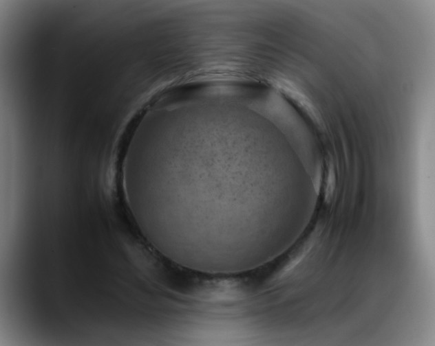 X0000089430492200706151311