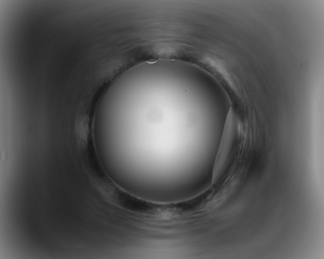 X0000089430495200706151311