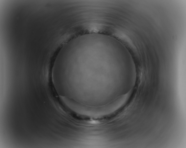 X0000089430496200706151311