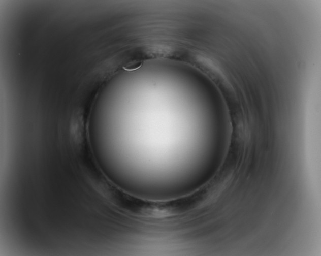 X0000089430498200706151311