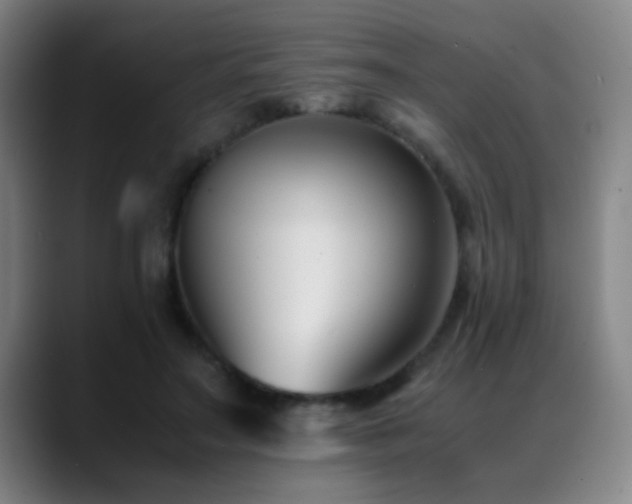 X0000089430499200706151311