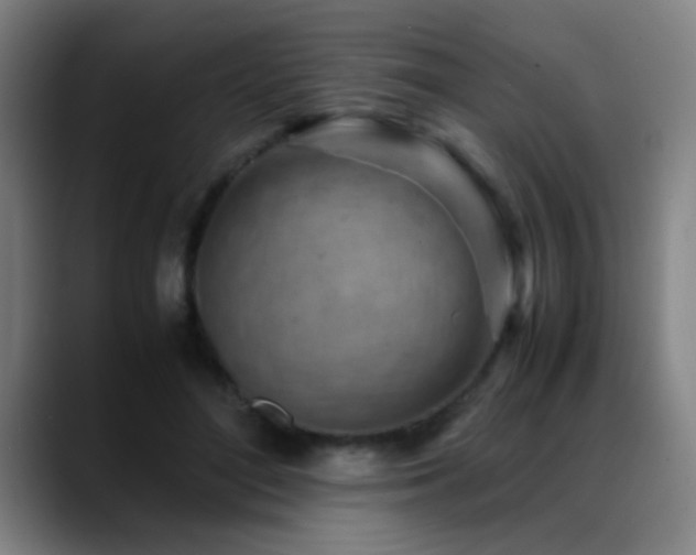X0000089430500200706151311