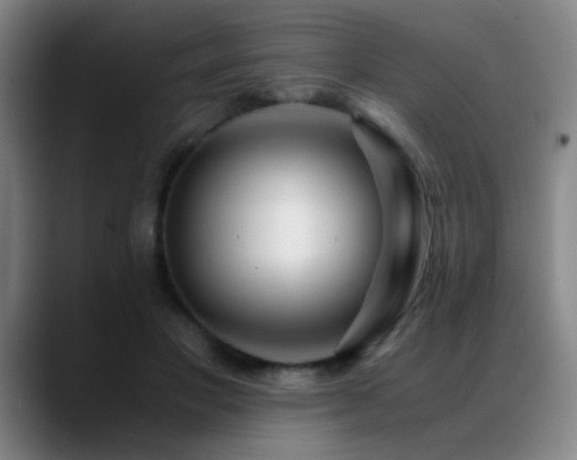 X0000089430501200706151311