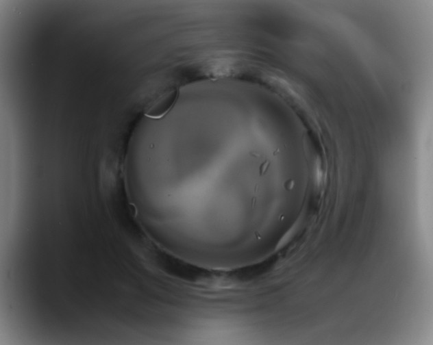 X0000089430503200706151311