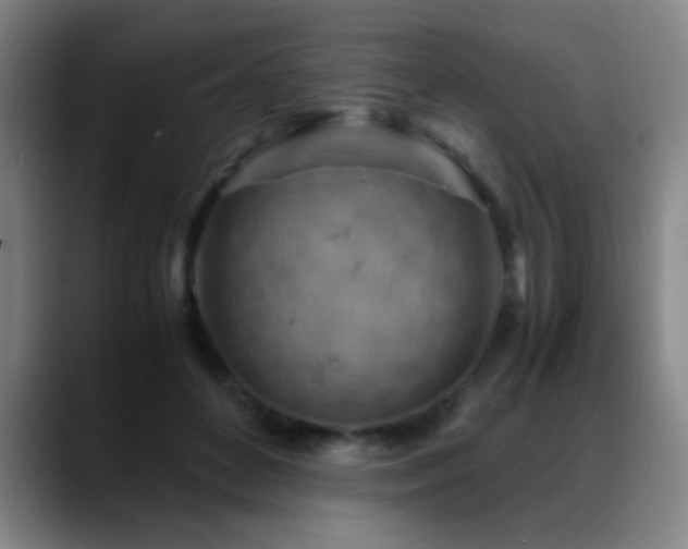X0000089430504200706151311