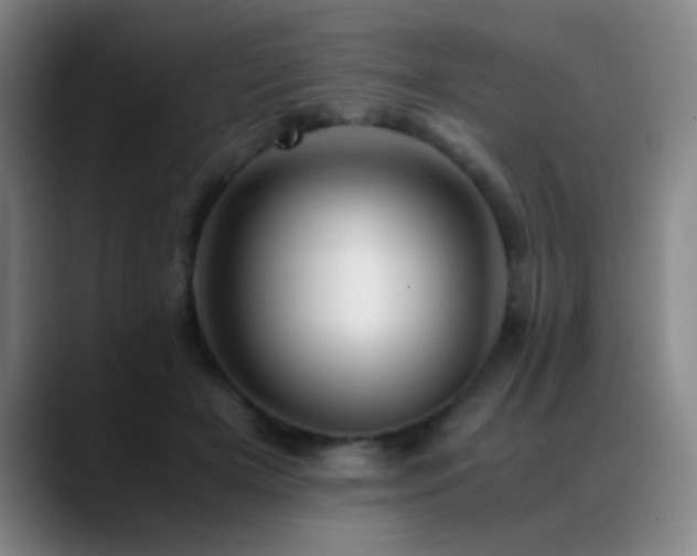 X0000089430505200706151311