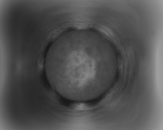 X0000089430507200706151311
