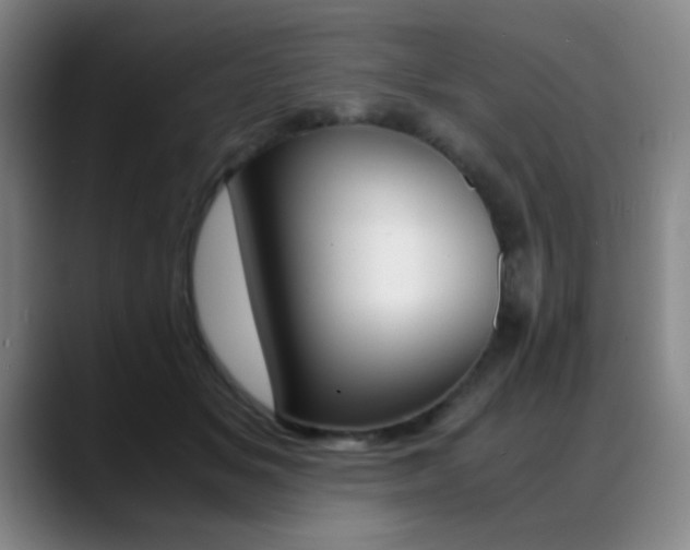 X0000089430509200706151311