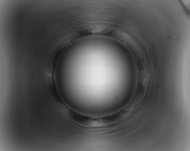 X0000089430510200706151311