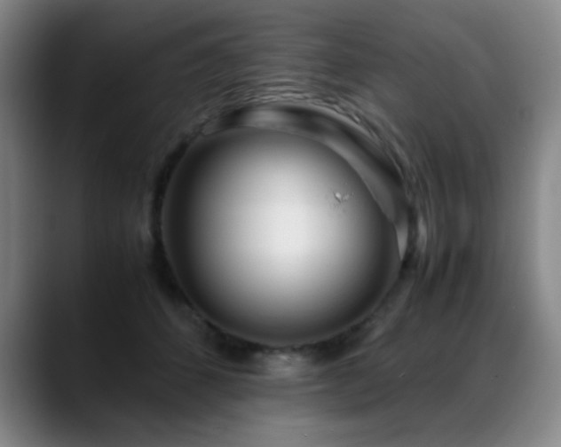 X0000089430512200706151311