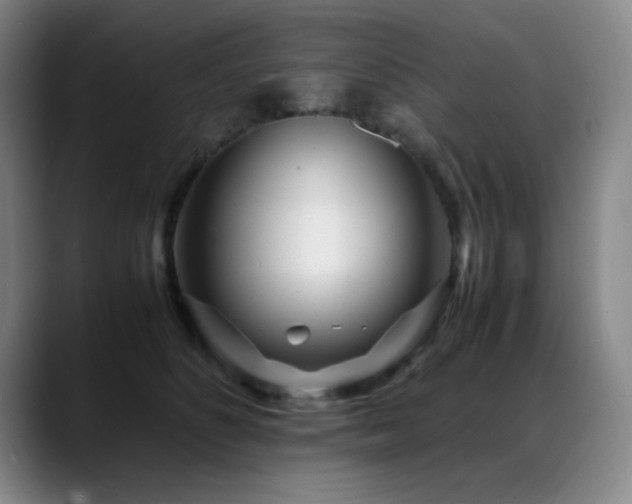 X0000089430516200706151311