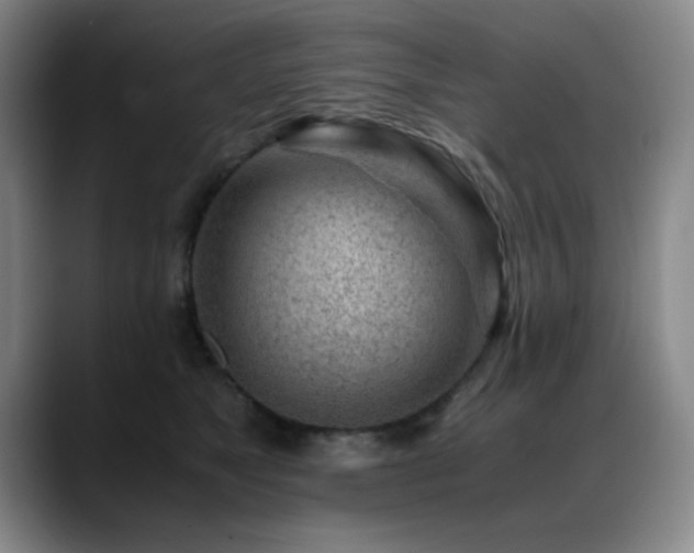 X0000089430517200706151311