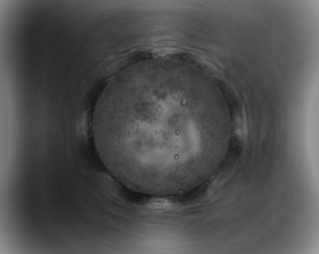 X0000089430519200706151311