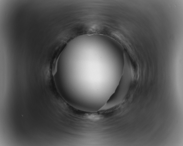 X0000089430520200706151311