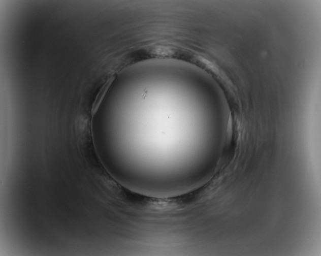 X0000089430521200706151311