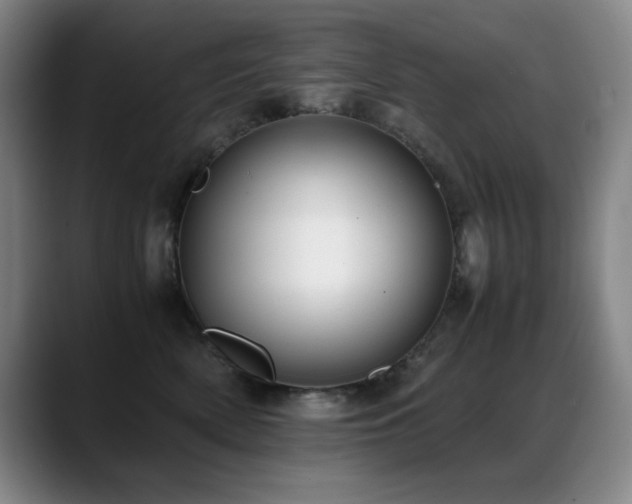 X0000089430522200706151311