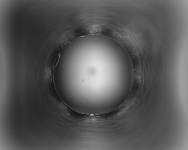 X0000089430523200706151311