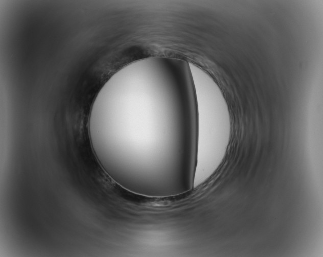 X0000089430525200706151311
