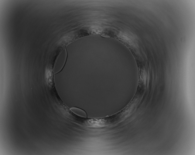 X0000089430526200706151311