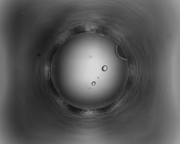 X0000089430527200706151311
