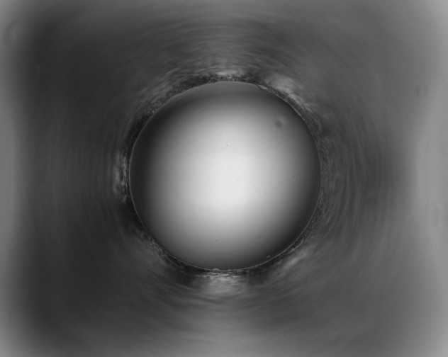 X0000089430528200706151311