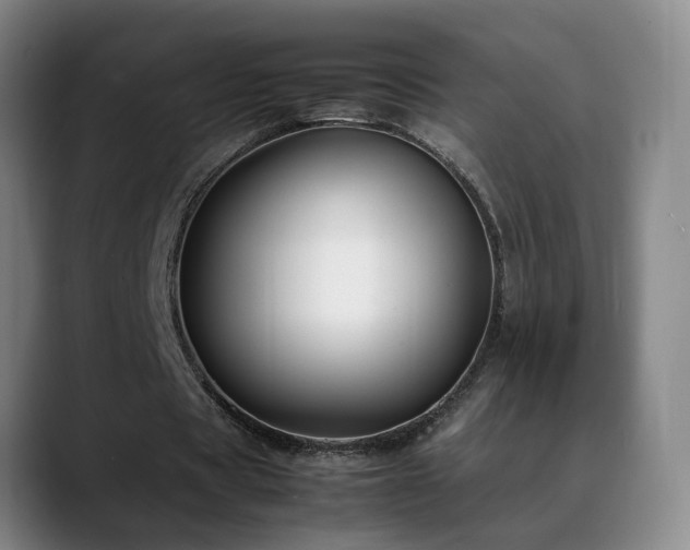 X0000089430529200706151310