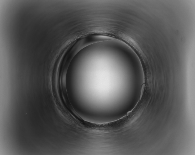 X0000089430530200706151310