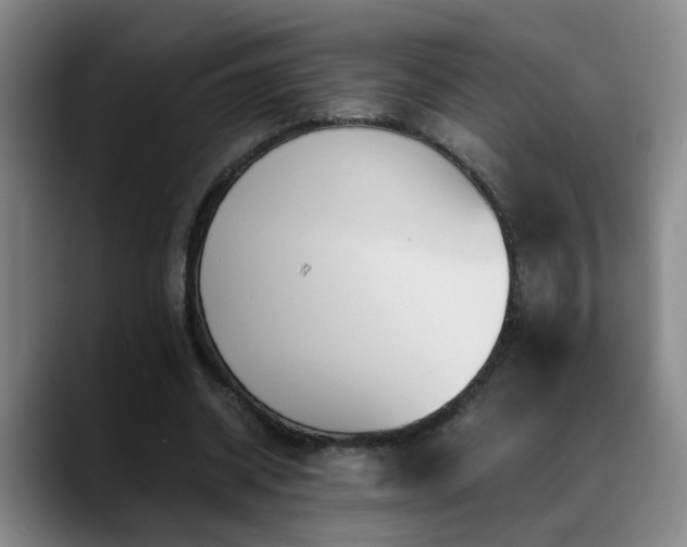 X0000089430534200706151310
