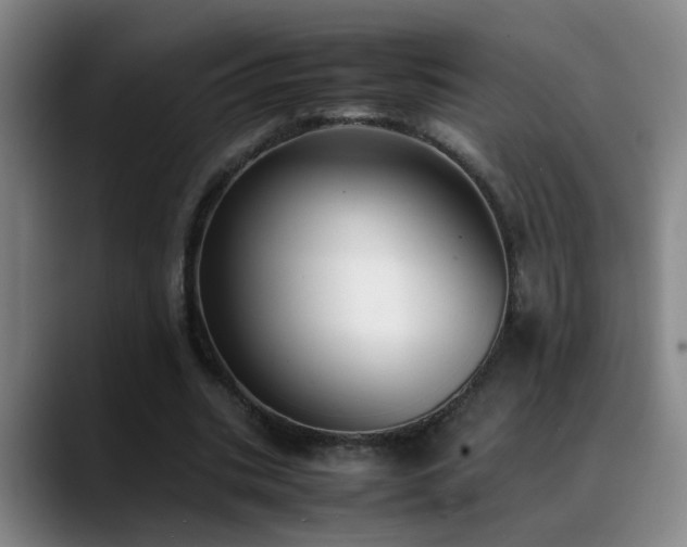 X0000089430535200706151310