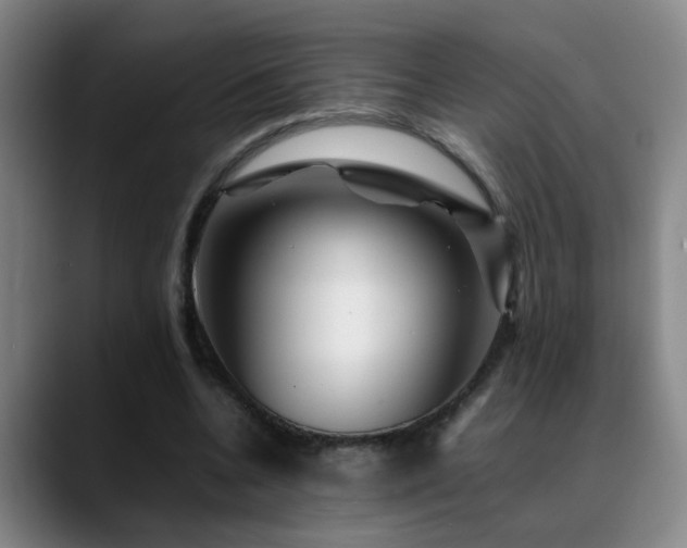 X0000089430536200706151310