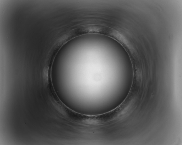 X0000089430537200706151310