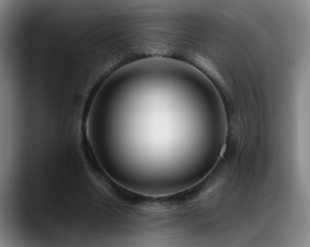 X0000089430538200706151310