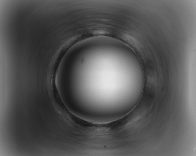 X0000089430539200706151310