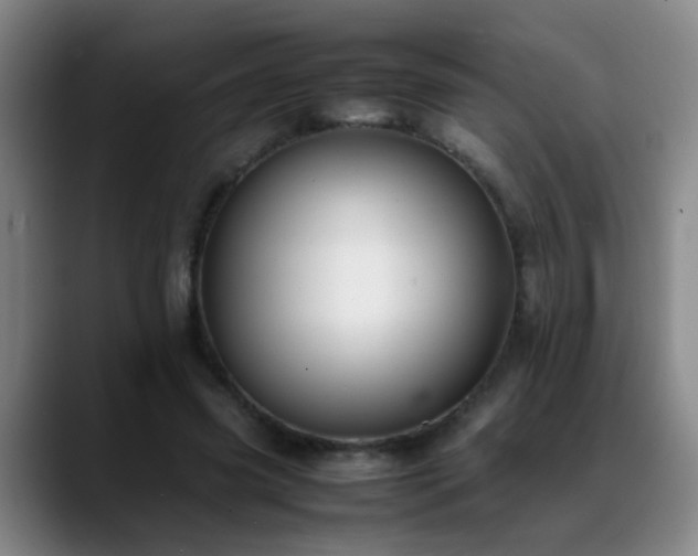 X0000089430541200706151310
