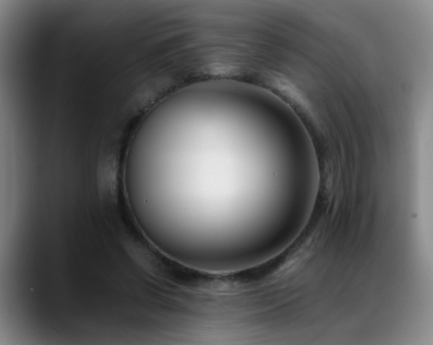 X0000089430542200706151310