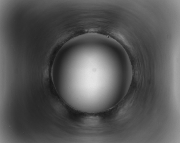 X0000089430543200706151310
