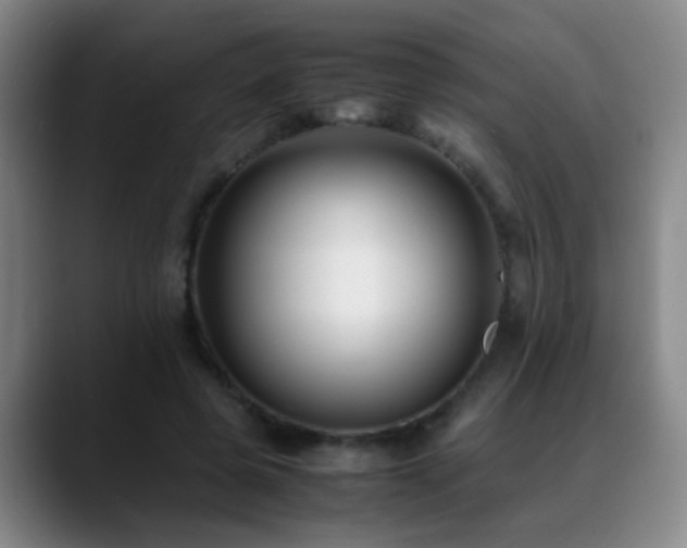 X0000089430545200706151310