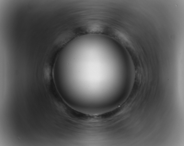 X0000089430550200706151311