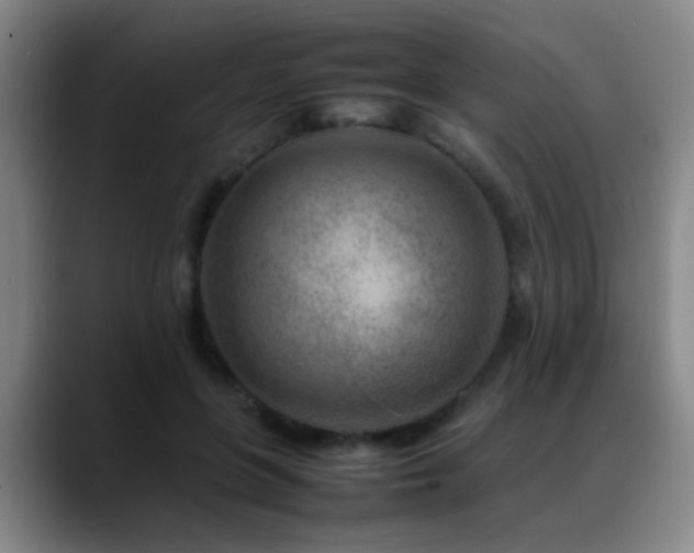 X0000089430551200706151311