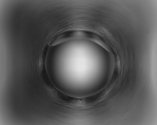 X0000089430552200706151311