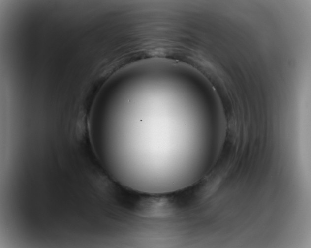 X0000089430554200706151311