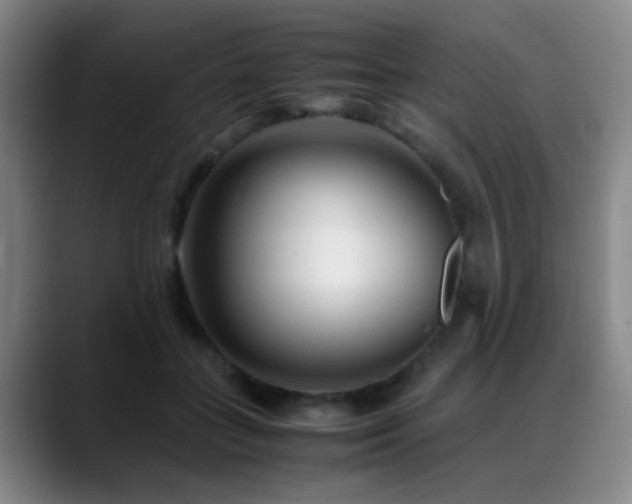 X0000089430555200706151311
