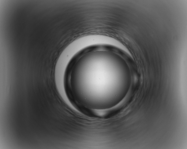 X0000089430558200706151311