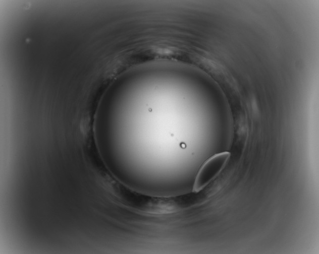 X0000089430559200706151311