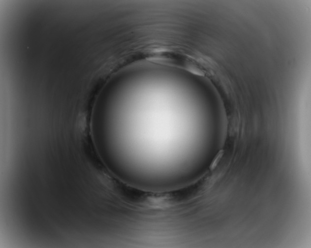 X0000089430560200706151311