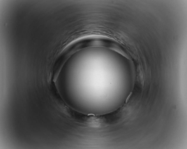 X0000089430562200706151311