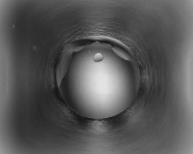 X0000089430566200706151311