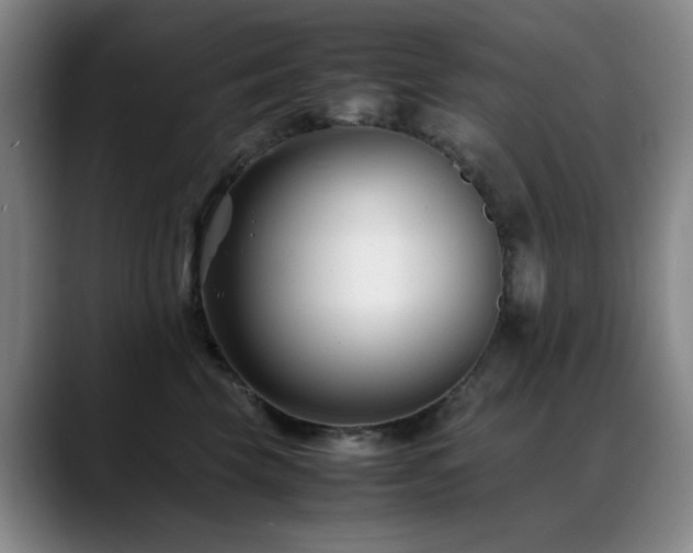 X0000089430569200706151311